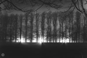 © Leo Hillier Photography