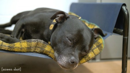 © Leo Hillier Photography and Filmmaking