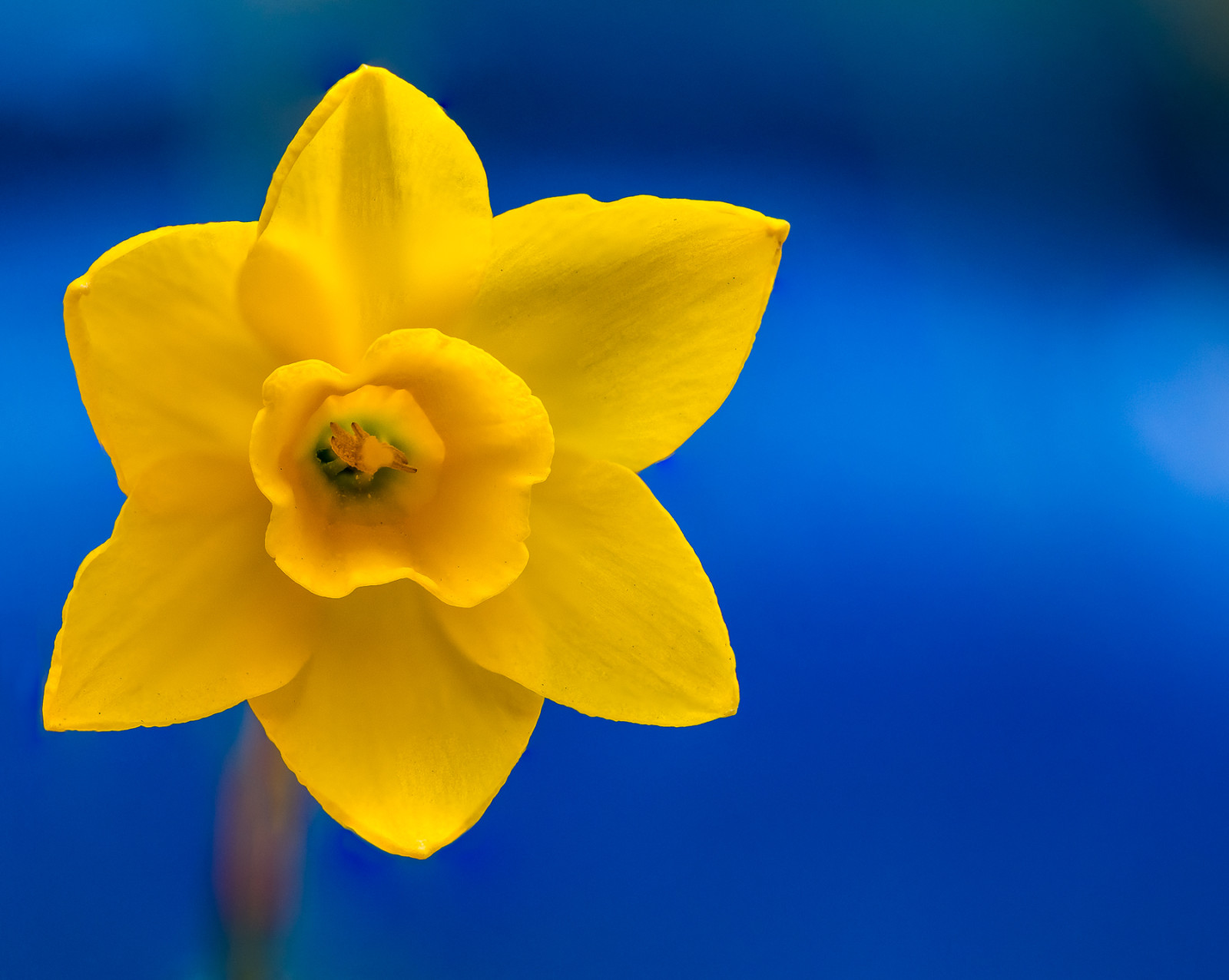 © Leo Hillier Photography