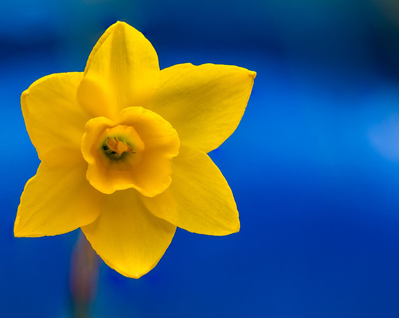 © Leo Hillier Photography