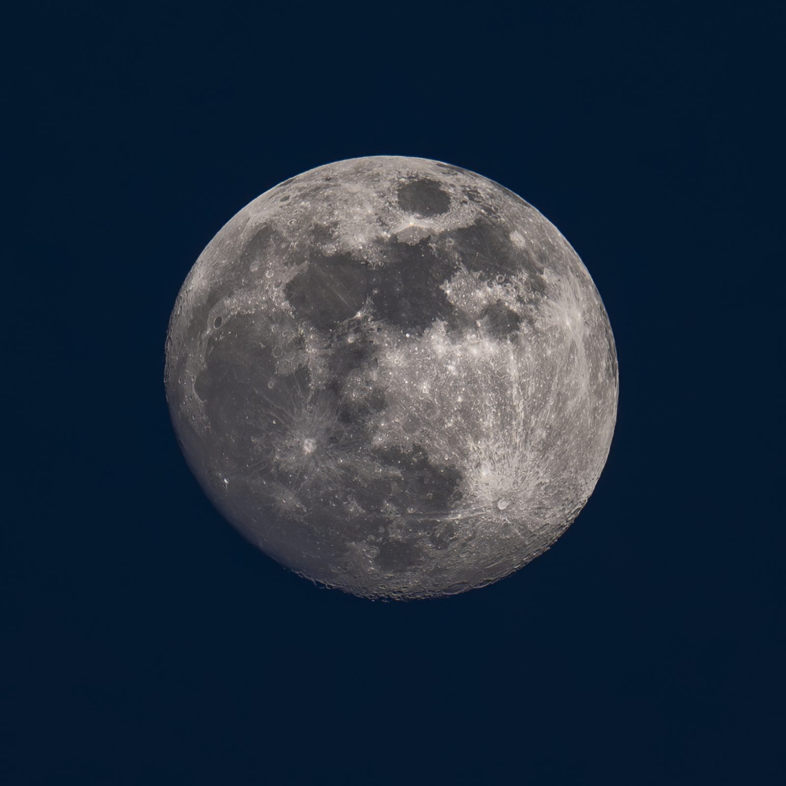 Spring Moon © Leo Hillier