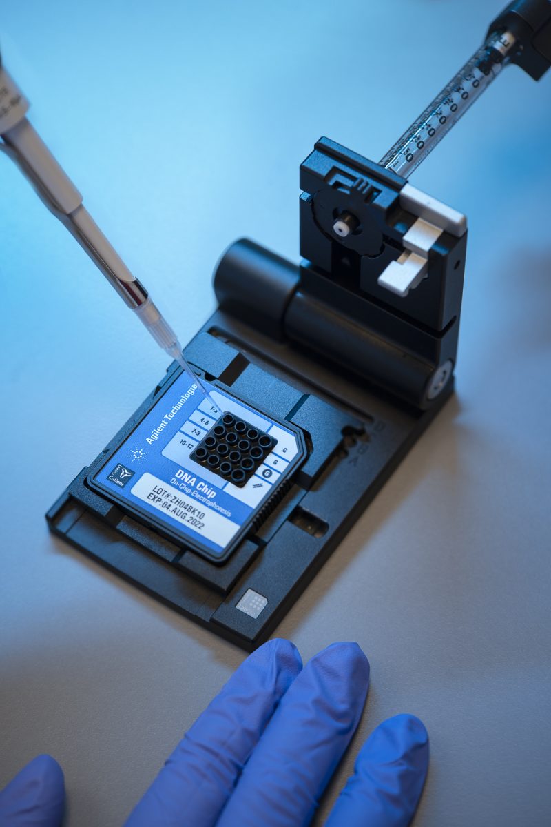 DNA Sample Chip Holder © Leo Hillier